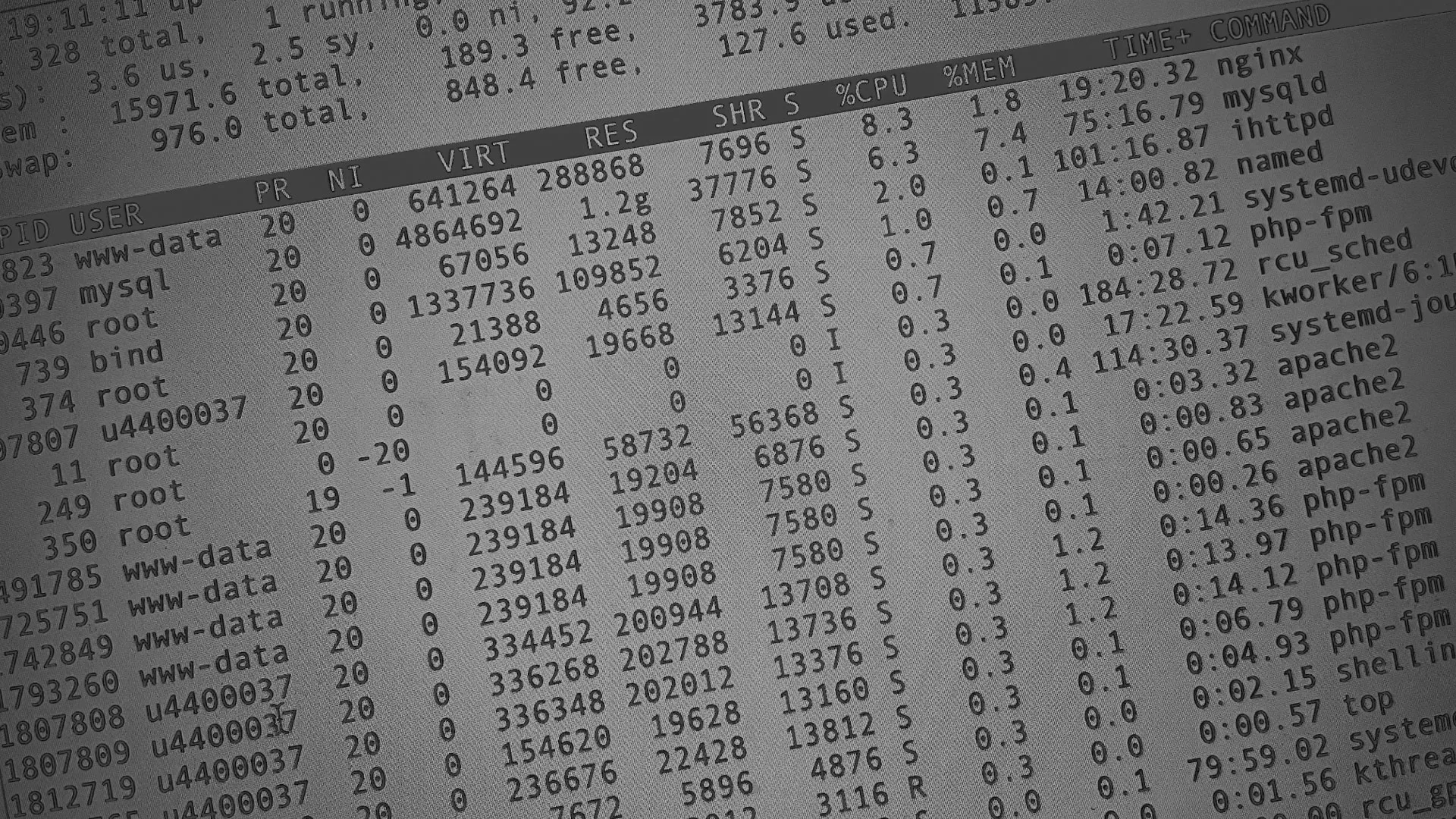 Настройка сервера в Тамбове